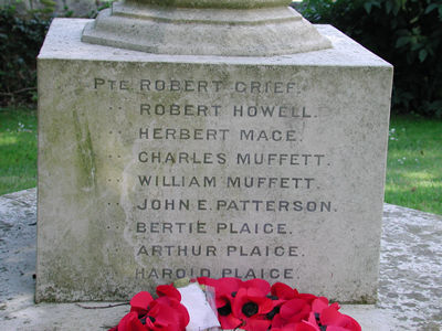 Plaque