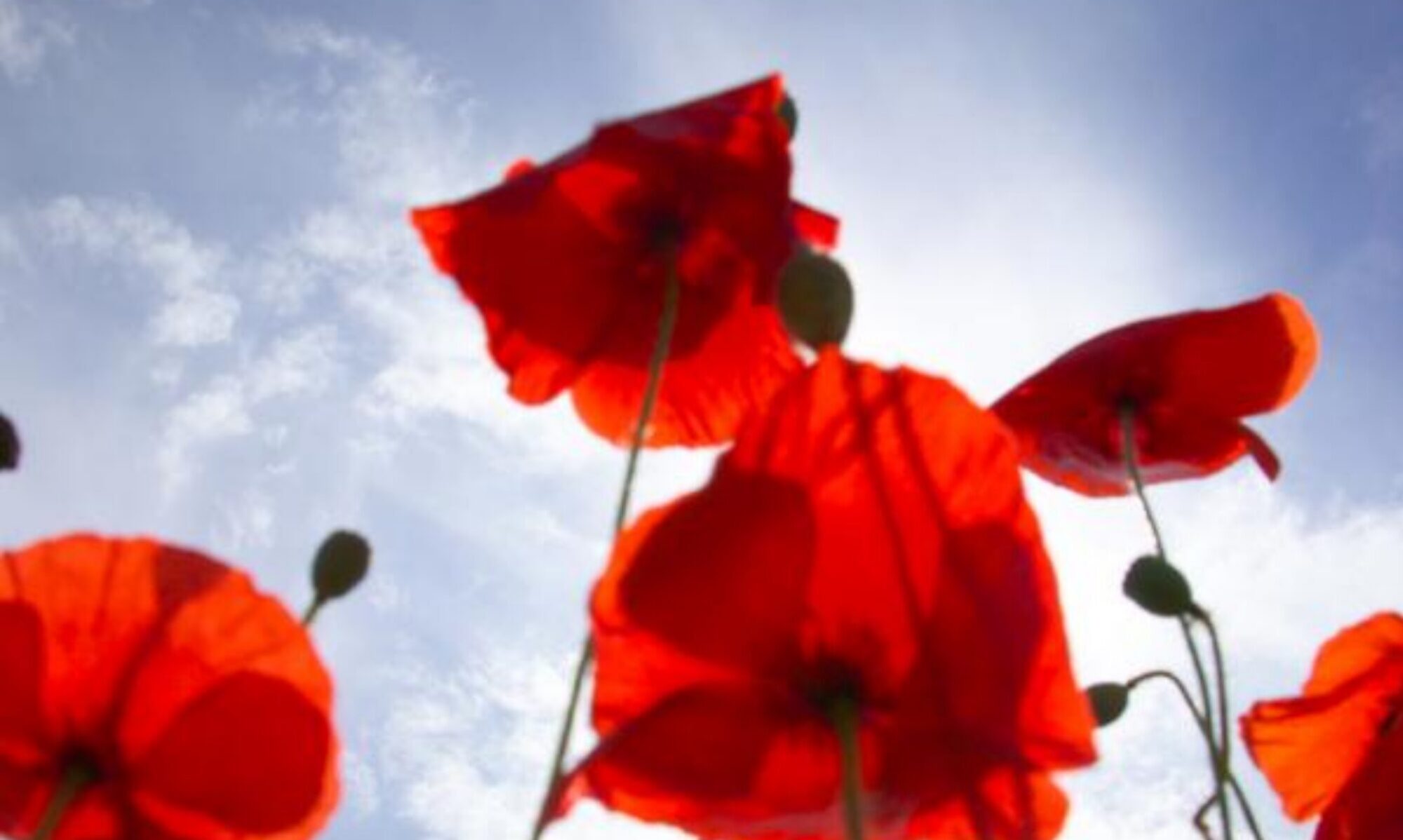 Header2